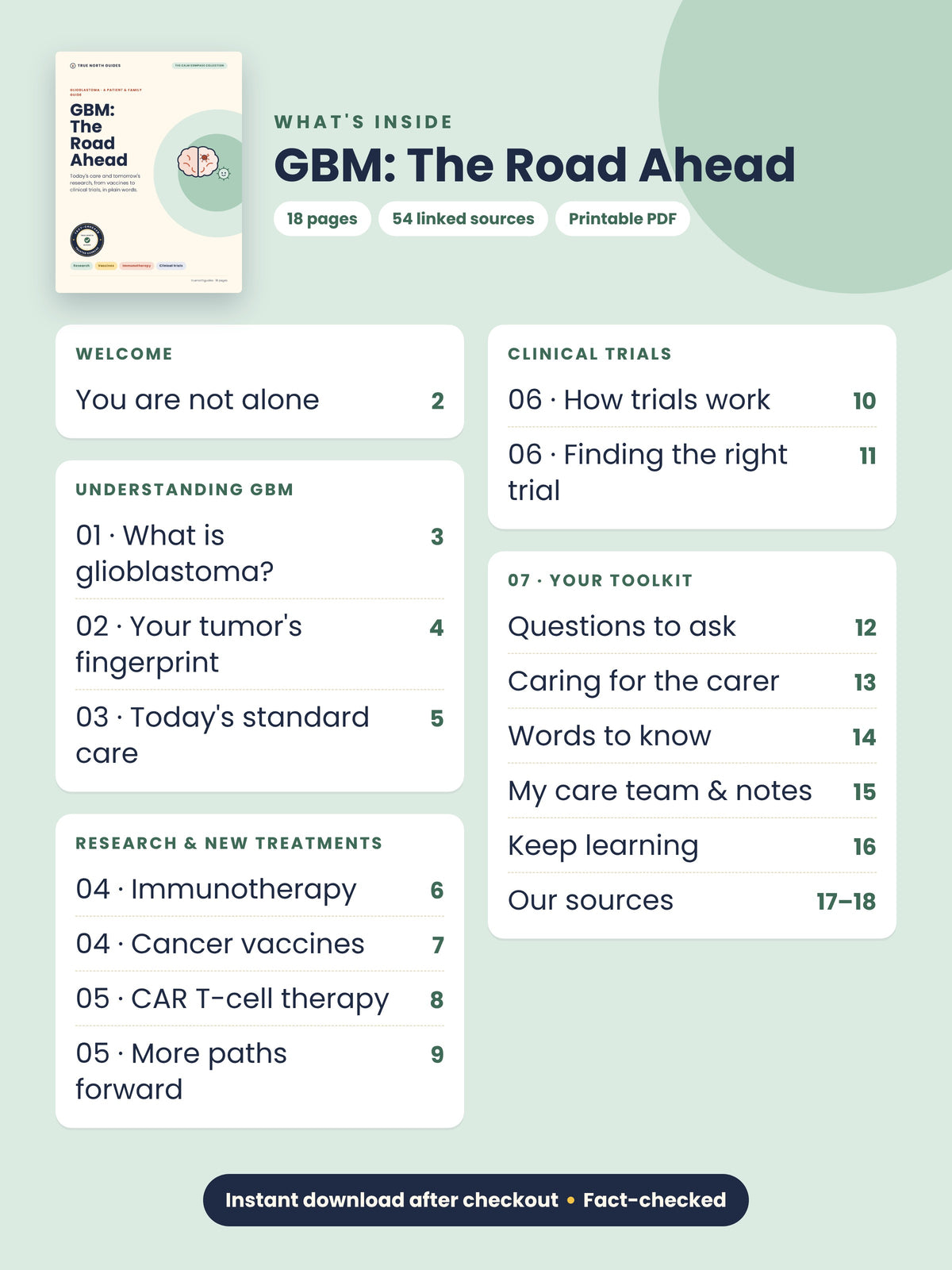 Table of contents for GBM: The Road Ahead: understanding GBM, research, clinical trials and a toolkit, 18 pages